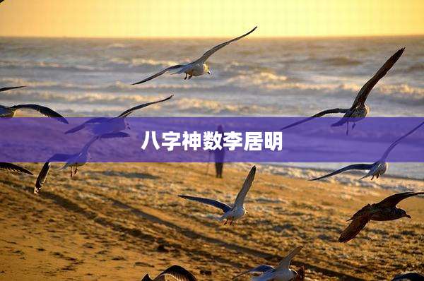 八字神数李居明