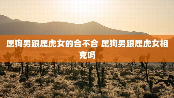 属狗男跟属虎女的合不合 属狗男跟属虎女相克吗