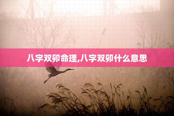 八字双卯命理,八字双卯什么意思