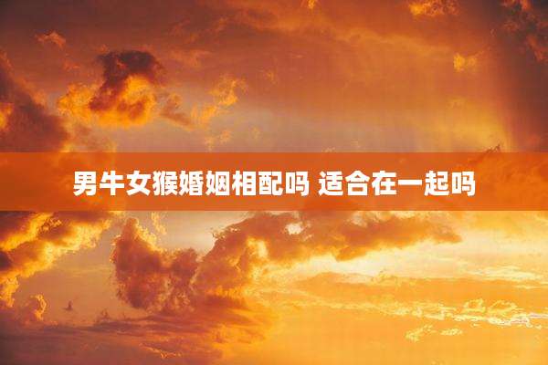 男牛女猴婚姻相配吗 适合在一起吗