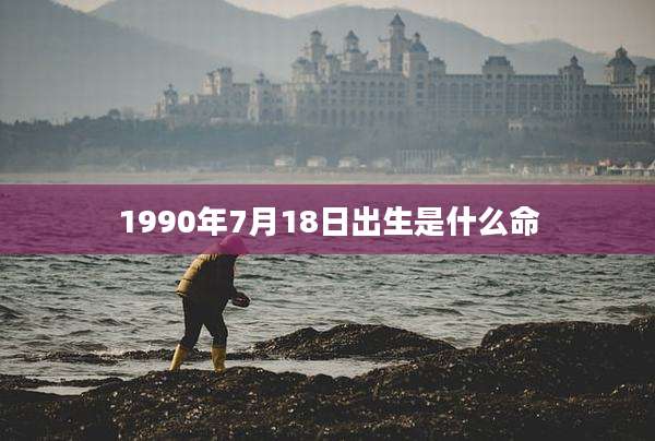 1990年7月18日出生是什么命