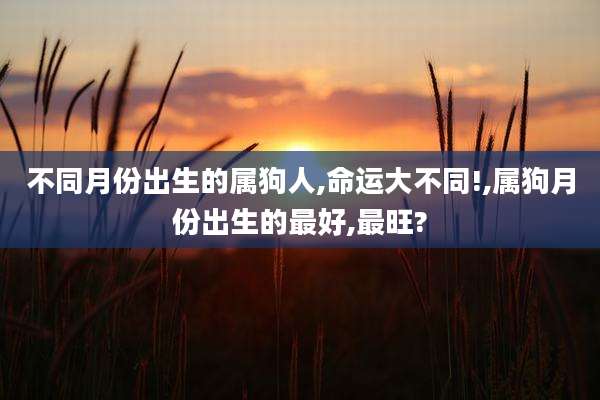 不同月份出生的属狗人,命运大不同!,属狗月份出生的最好,最旺?