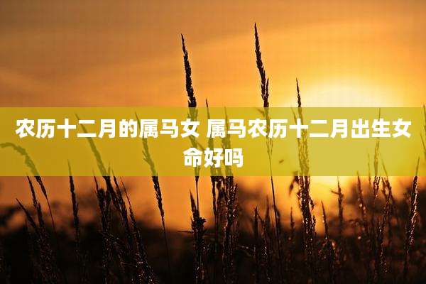 农历十二月的属马女 属马农历十二月出生女命好吗