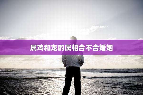 属鸡和龙的属相合不合婚姻