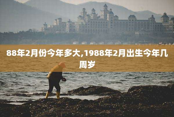 88年2月份今年多大,1988年2月出生今年几周岁