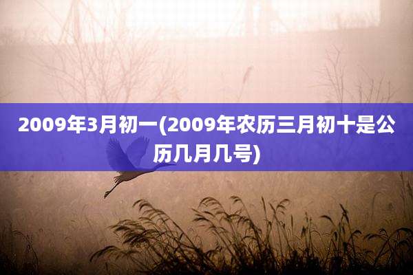 2009年3月初一(2009年农历三月初十是公历几月几号)