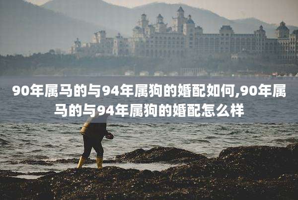 90年属马的与94年属狗的婚配如何,90年属马的与94年属狗的婚配怎么样