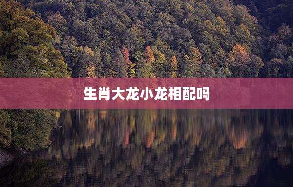 生肖大龙小龙相配吗