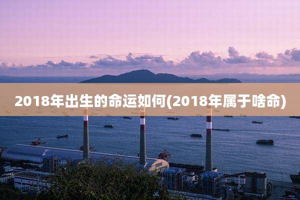 2018年出生的命运如何(2018年属于啥命)