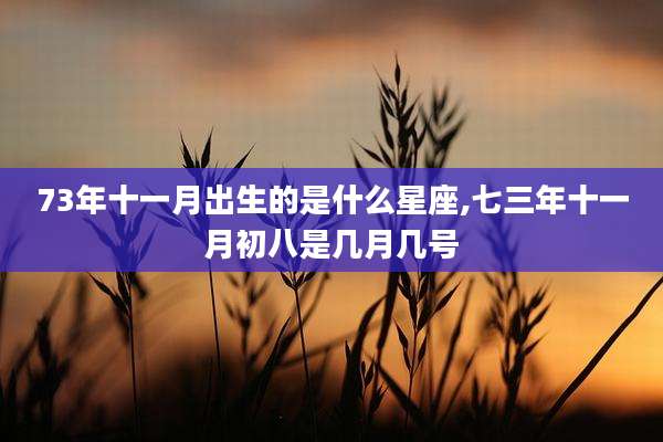 73年十一月出生的是什么星座,七三年十一月初八是几月几号
