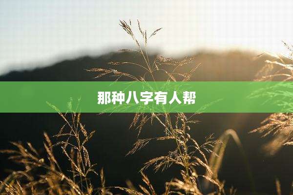 那种八字有人帮