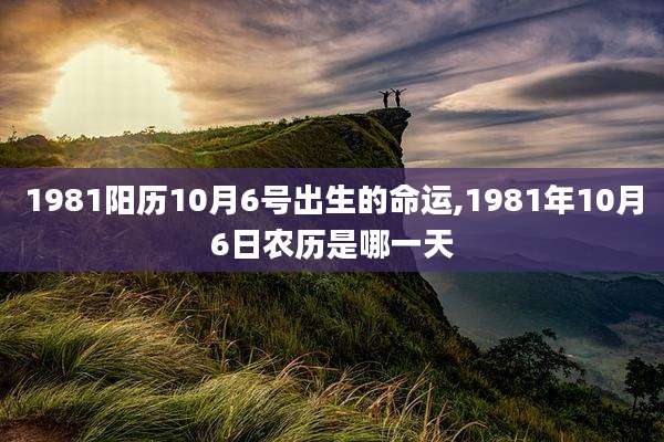 1981阳历10月6号出生的命运,1981年10月6日农历是哪一天