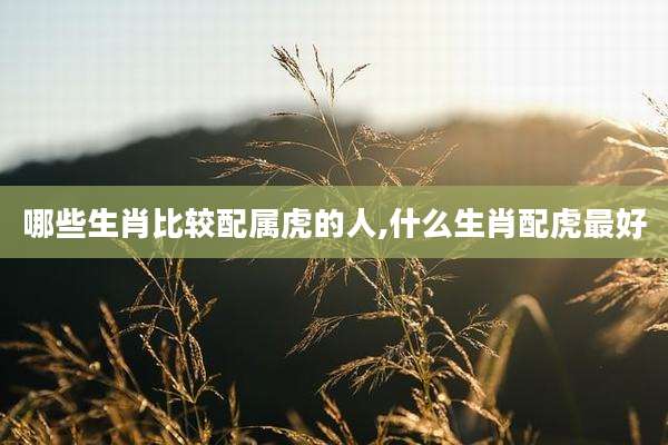 哪些生肖比较配属虎的人,什么生肖配虎最好