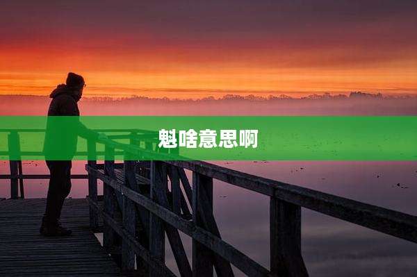 魁啥意思啊
