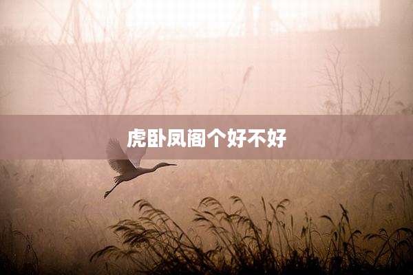 虎卧凤阁个好不好