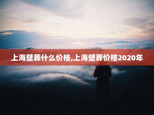 上海壁葬什么价格,上海壁葬价格2020年