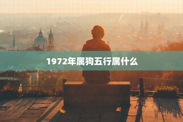 1972年属狗五行属什么