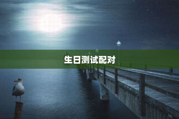 生日测试配对