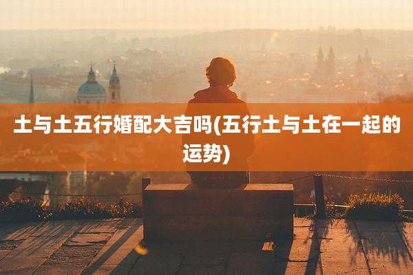 土与土五行婚配大吉吗(五行土与土在一起的运势)