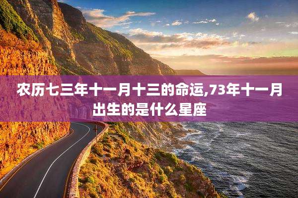 农历七三年十一月十三的命运,73年十一月出生的是什么星座