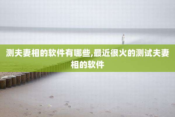 测夫妻相的软件有哪些,最近很火的测试夫妻相的软件