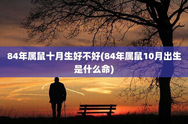 84年属鼠十月生好不好(84年属鼠10月出生是什么命)