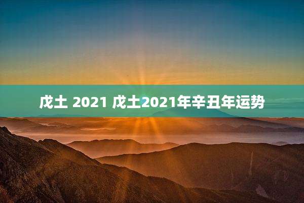 戊土 2021 戊土2021年辛丑年运势
