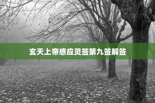 玄天上帝感应灵签第九签解签
