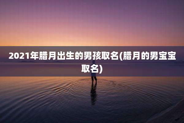 2021年腊月出生的男孩取名(腊月的男宝宝取名)