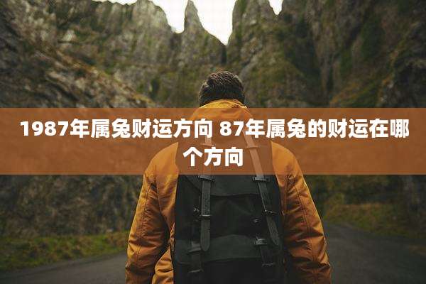 1987年属兔财运方向 87年属兔的财运在哪个方向