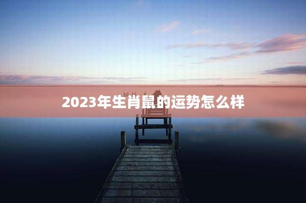 2023年生肖鼠的运势怎么样
