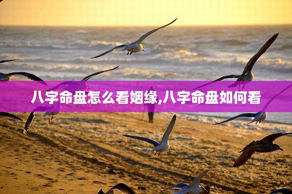 八字命盘怎么看姻缘,八字命盘如何看