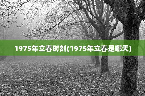 1975年立春时刻(1975年立春是哪天)