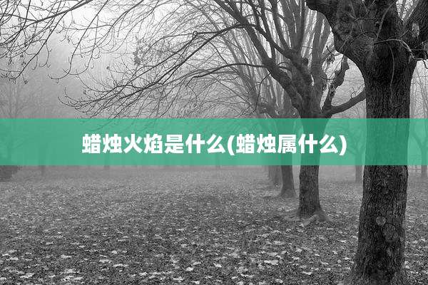 蜡烛火焰是什么(蜡烛属什么)