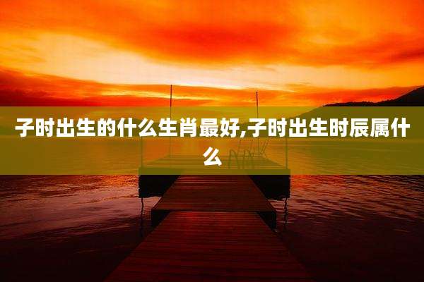 子时出生的什么生肖最好,子时出生时辰属什么
