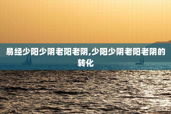 易经少阳少阴老阳老阴,少阳少阴老阳老阴的转化