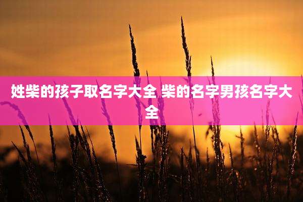 姓柴的孩子取名字大全 柴的名字男孩名字大全