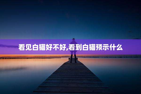 看见白猫好不好,看到白猫预示什么