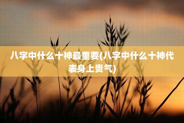 八字中什么十神最重要(八字中什么十神代表身上贵气)