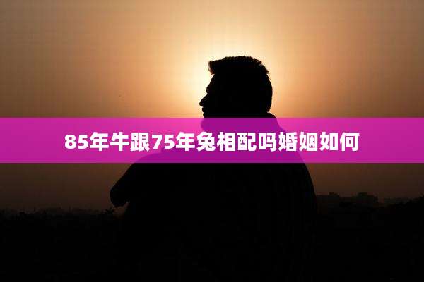 85年牛跟75年兔相配吗婚姻如何