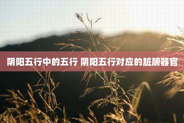 阴阳五行中的五行 阴阳五行对应的脏腑器官