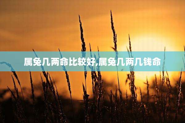 属兔几两命比较好,属兔几两几钱命
