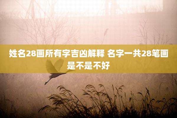姓名28画所有字吉凶解释 名字一共28笔画是不是不好