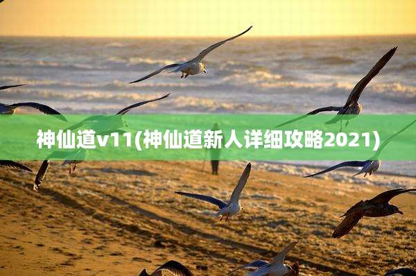 神仙道v11(神仙道新人详细攻略2021)