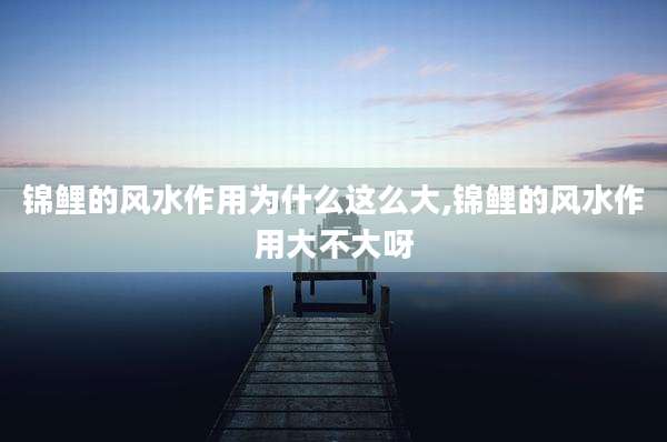锦鲤的风水作用为什么这么大,锦鲤的风水作用大不大呀