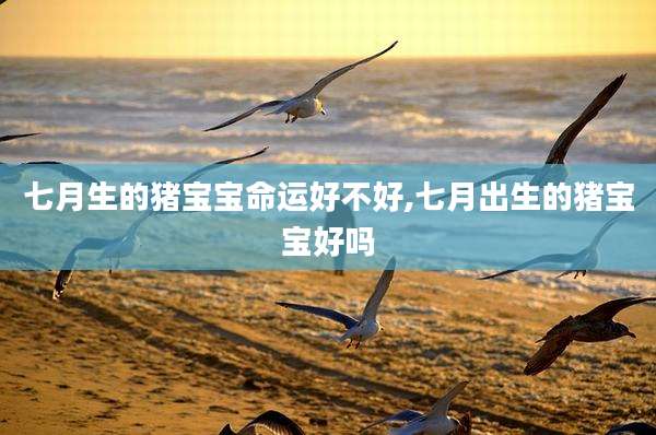 七月生的猪宝宝命运好不好,七月出生的猪宝宝好吗