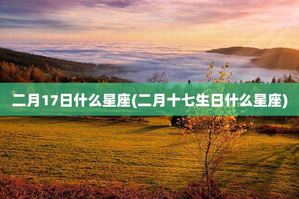 二月17日什么星座(二月十七生日什么星座)