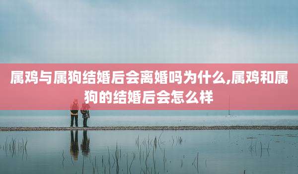 属鸡与属狗结婚后会离婚吗为什么,属鸡和属狗的结婚后会怎么样