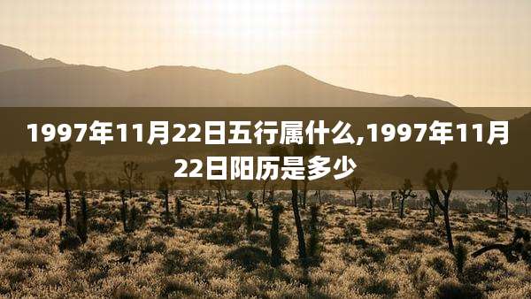 1997年11月22日五行属什么,1997年11月22日阳历是多少