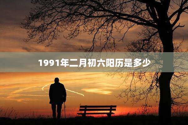 1991年二月初六阳历是多少